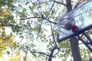 网红恶搞当年的詹韦连线：不管韦德怎么扔，詹姆斯都能拿到！